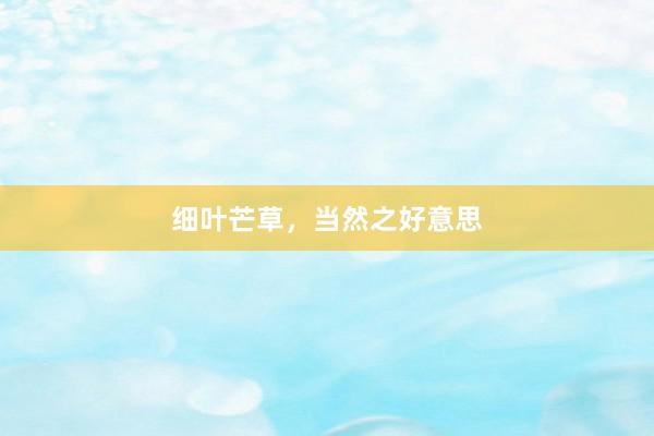 细叶芒草，当然之好意思